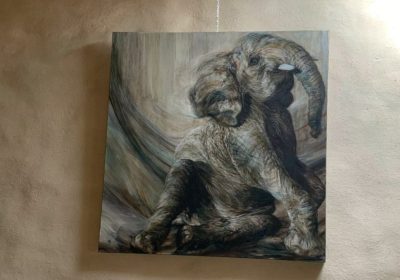 expo-peintre-hester-van-wijngaarden-4 expo-peintre-hester-van-wijngaarden-4